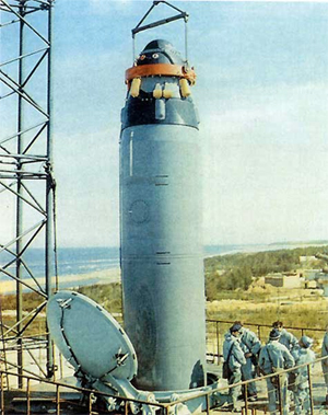 Р-29Р (РСМ-50)